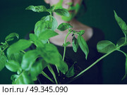 Young woman with a green plant. Стоковое фото, агентство Ingram Publishing / Фотобанк Лори