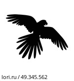 Flying Ara Parrot Flat Design Vector Illustration. Ara parrot vector. Birds of Amazonian forests in flat design illustration. Fauna of South America. Flying black Ara parrot for icons, posters, childrens books illustrating. Isolated on white. Стоковая иллюстрация, агентство Ingram Publishing / Фотобанк Лори