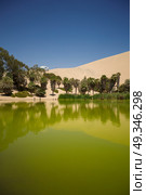  Oasis surrounded by sand dunes near Ica Peru. Стоковое фото, агентство Ingram Publishing / Фотобанк Лори