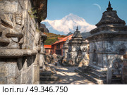 Freely walk monkey. Votive temples and shrines in a row at Pashupatinath Temple, Kathmandu, Nepal. Стоковое фото, агентство Ingram Publishing / Фотобанк Лори
