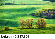 Green spring hills. Rolling spring fields. Chapel in arable lands of Czech Moravia. . Стоковое фото, агентство Ingram Publishing / Фотобанк Лори