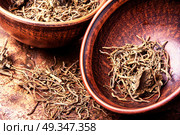 Roots and rhizomes Valerian officinalis. Traditional remedy from valerian roots in a mortar.Herbal medicine. Стоковое фото, агентство Ingram Publishing / Фотобанк Лори