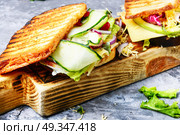 Sandwiches on cutting board. Sandwiches with beef, fresh vegetables and herbs on the cutting board. Стоковое фото, агентство Ingram Publishing / Фотобанк Лори