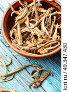 Medicinal root inula. Medicinal raw materials from roots and rhizomes inula.Root elecampane. Стоковое фото, агентство Ingram Publishing / Фотобанк Лори