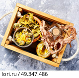 Healing herbs in wooden box. Natural herbal medicine,medicinal herbs and herbal medicinal tinctures.Natural herbs medicine. Стоковое фото, агентство Ingram Publishing / Фотобанк Лори