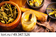 Alternative herbal medicine. Natural herbal medicine,medicinal herbs and herbal medicinal tinctures.Natural herbs medicine. Стоковое фото, агентство Ingram Publishing / Фотобанк Лори