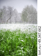 Snow goes in the summer. Abnormal weather. changing of the climate. Snow goes in the summer. Стоковое фото, агентство Ingram Publishing / Фотобанк Лори
