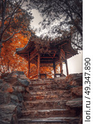 Beihai Park is the imperial garden to the north-west of the Forbidden City in Beijing. China. Beihai Park. Стоковое фото, агентство Ingram Publishing / Фотобанк Лори