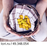 Man holding a basket of tomatoes. Стоковое фото, агентство Ingram Publishing / Фотобанк Лори