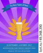 Try New Types of Beer Vector Illustration Purple. Try new types of beer Come with your friends to oktoberfest, promo poster of weizen and ear of yellow wheat vector illustration on purple. Стоковая иллюстрация, агентство Ingram Publishing / Фотобанк Лори