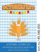 Octoberfest Creative Poster with Information Beer. Octoberfest creative poster with information and pilsner glass of beer vector with ears of wheat. Refreshing alcoholic beverage in transparent glassware. Стоковая иллюстрация, агентство Ingram Publishing / Фотобанк Лори