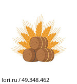 Vector Illustration of Beer Barrels at Octoberfest. Vector illustration representing three beer barrels of different types and ear of wheat on white background. Unofficial symbol of october festival. Стоковая иллюстрация, агентство Ingram Publishing / Фотобанк Лори