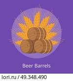 Three Beer Barrels of Different Types and Ears. Three beer barrels of different types and ear of wheat on purple background. Unofficial symbol of Oktoberfest or Octoberfest festival. Стоковая иллюстрация, агентство Ingram Publishing / Фотобанк Лори