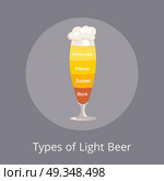 Types of Light Beer American and Dunkel, Pilsner. Types of light beer american and dunkel, pilsner and bock which are beers types with foam of different color isolated on vector illustration on grey. Стоковая иллюстрация, агентство Ingram Publishing / Фотобанк Лори