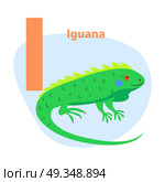 Children ABC with cute animal cartoon vector. English letter I with funny iguana flat illustration isolated on white background. Zoo alphabet with lizard and caption for preschool education, kids book. Zoo ABC Letter with Cute Iguana Cartoon Vector. Zoo ABC Letter with Cute Iguana Cartoon Vector. Стоковая иллюстрация, агентство Ingram Publishing / Фотобанк Лори