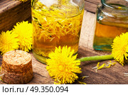 Extraction of flowers dandelions. Bottle of essential oil with flowers dandelions.Healing herbs.Dandelions tinctures. Стоковое фото, агентство Ingram Publishing / Фотобанк Лори