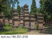 Forest pagodas of the Shaolin Monastery. China. Forest pagodas of the Shaolin Monastery. Стоковое фото, агентство Ingram Publishing / Фотобанк Лори