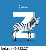 Animal alphabet vector concept. Flat style. Zoo ABC with wild animal. Zebra standing on blue background, letter Z behind. Educational glossary. For children s books, textbooks illustrating. Animal Alphabet Concept in Flat Design. Animal Alphabet Concept in Flat Design. Стоковая иллюстрация, агентство Ingram Publishing / Фотобанк Лори