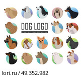 Set of dog vector logos in flat design. Pekingese, poodle, huskies, doberman, terrier, bulldog, shepherd, chihuahua, maltese, spaniel dachshund pit bull sharp chow-chow schnauzer illustrations . Set of Dog Vector Logos in Flat Style Design  . Set of Dog Vector Logos in Flat Style Design  . Стоковая иллюстрация, агентство Ingram Publishing / Фотобанк Лори