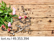Collection of retro bijouterie. Set of stylish female retro jewelry made of chains, beads and pendants.Bijouterie making. Стоковое фото, агентство Ingram Publishing / Фотобанк Лори