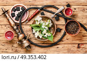 Oriental tobacco hookah with floral jasmine aroma. Smoke hookah with jasmine floral scent.Shisha concept.Modern hookah. Стоковое фото, агентство Ingram Publishing / Фотобанк Лори