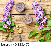 Homemade jam from the lilac. Healing jam from the flowers of spring lilacs.Healing syrup. Стоковое фото, агентство Ingram Publishing / Фотобанк Лори