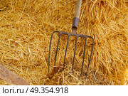 muck fork stable tool on straw bale. muck fork stable tool on straw bale barn. Стоковое фото, агентство Ingram Publishing / Фотобанк Лори