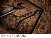 Horseshoes horse tools on a grunge wood. Horseshoes horse tools on a grunge wood table. Стоковое фото, агентство Ingram Publishing / Фотобанк Лори