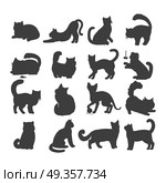 Set of Cats Vector Flat Design Illustration. Different breed cats. European shorthair, exotic, bengal, somali, maine coon cats heads flat vector illustrations set isolated on white background. For pet shop ad, animalistic hobby concepts. Стоковая иллюстрация, агентство Ingram Publishing / Фотобанк Лори