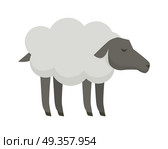 Sheep illustration. Vector in flat style design. Domestic animal. Country inhabitants concept. Picture for farming, animal husbandry, wool and meat production  companies. Isolated on white background.. Sheep Flat Design Vector Illustration on White.. Sheep Flat Design Vector Illustration on White. Стоковая иллюстрация, агентство Ingram Publishing / Фотобанк Лори