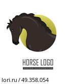 Horse Vector Illustration in Flat Design. Black horse flat style vector logo. Domestic animal. Country inhabitants concept. Illustration for farming, animal husbandry, horse sport companies. Agricultural species. Isolated on white. Стоковая иллюстрация, агентство Ingram Publishing / Фотобанк Лори