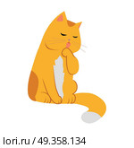 Cute Cartoon Cat. Cute cartoon orange cat. The orange cat washes, licks a paw. Cat is washing itself. Cat icon. Pet icon. Isolated vector illustration on white background. Стоковая иллюстрация, агентство Ingram Publishing / Фотобанк Лори