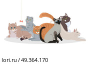 Cat Breeds Cute Pet Animal Set Vector Web Banner.. Cat breeds cute pet animal set vector web banner. Flat design. Cats in different poses sitting, standing, stretching, playing, lying. For veterinary clinic, pet shop advertising. Collection of kittens. Стоковая иллюстрация, агентство Ingram Publishing / Фотобанк Лори