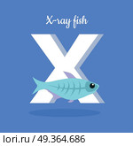 Animal alphabet vector concept. Flat style. Zoo ABC with decorative fish. X-ray fish swimming on blue background, letter X behind. Educational glossary. For children s books, textbooks illustrating. Animal Alphabet Concept in Flat Design. Animal Alphabet Concept in Flat Design. Стоковая иллюстрация, агентство Ingram Publishing / Фотобанк Лори