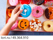 sweet doughnuts on gray stone background. someones hand taking from the box one sweet blue doughnut. Стоковое фото, агентство Ingram Publishing / Фотобанк Лори