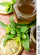 Jam from fresh spearmint. Aromatic curative jam from fresh mint leaves.Peppermint jelly. Стоковое фото, агентство Ingram Publishing / Фотобанк Лори