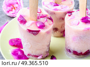 Sundae with taste of rose. Summer vanilla ice cream with fresh rose flowers. Стоковое фото, агентство Ingram Publishing / Фотобанк Лори