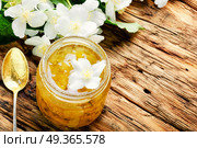 Delicious jasmine jam. Useful jam from the blossoming jasmine petals, healthy food. Стоковое фото, агентство Ingram Publishing / Фотобанк Лори