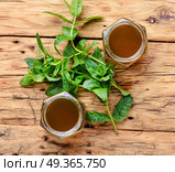 Jam from fresh mint. Aromatic curative jam from fresh mint leaves.Peppermint jelly. Стоковое фото, агентство Ingram Publishing / Фотобанк Лори