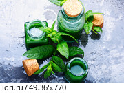 Mint essential oil in a glass bottle.Herbal medicine.Healing herbs. Natural mint essential oil. Natural mint essential oil. Стоковое фото, агентство Ingram Publishing / Фотобанк Лори