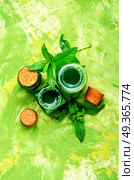 Mint essential oil in a glass bottle.Healing plants.Natural herbal cosmetics. Essential mint oil with green leaves. Essential mint oil with green leaves. Стоковое фото, агентство Ingram Publishing / Фотобанк Лори