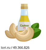Cashew Oil Vector Illustration in Flat Design.. Cashew oil and nuts vector. Flat design. Healthy food, diet and cosmetic products. Seasoning. Culinary ingredient, source of protein, vitamins, fatty acids. Isolated on white background. Стоковая иллюстрация, агентство Ingram Publishing / Фотобанк Лори