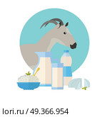 Goat Icon with Milk Products. Dairy Set. Goat icon with milk products. Goat breeding. Dairy set milk in jug, sour cream, cottage cheese, butter and cream. Cheese making logo design. Agricultural farming concept. Vector illustration. Стоковая иллюстрация, агентство Ingram Publishing / Фотобанк Лори