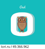 Animal alphabet vector concept. Flat style. Zoo ABC with wild predatory bird. Cute owl sitting on letter O on blue background. Educational glossary. For children s books, textbooks illustrating. Animal Alphabet Concept in Flat Design. Animal Alphabet Concept in Flat Design. Стоковая иллюстрация, агентство Ingram Publishing / Фотобанк Лори
