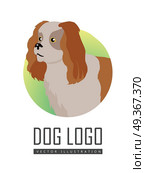 Spaniel Dog Logo on White Background. Brown and white spaniel dog, round logo on white background. Dog icon. Vector illustration in flat style. English cocker spaniel design. Cartoon dog character, pet animal. Стоковая иллюстрация, агентство Ingram Publishing / Фотобанк Лори
