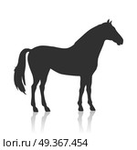 Horse Vector Illustration in Flat Design. Black horse vector. Flat design. Domestic animal. Country inhabitants concept. For farming, animal husbandry, horse sport illustrating. Agricultural species. Isolated on white. Стоковая иллюстрация, агентство Ingram Publishing / Фотобанк Лори
