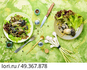 Vegetarian salad with mushrooms. Autumn salad with wild mushrooms and lettuce. Стоковое фото, агентство Ingram Publishing / Фотобанк Лори