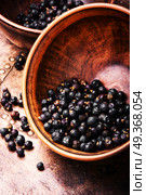 Bowl of juniper berries. Pile of dry juniper berries prepared for healing teas and extracts. Стоковое фото, агентство Ingram Publishing / Фотобанк Лори
