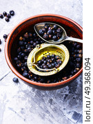 Bowl of juniper berries. Pile of dry juniper berries prepared for healing teas and extracts. Стоковое фото, агентство Ingram Publishing / Фотобанк Лори