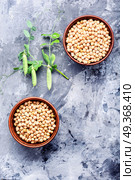 Chickpeas, the basis of vegetarian cuisine. Chickpeas - food product popular in the Middle East, for cooking traditional dishes.Healthy and vegetarian food. Стоковое фото, агентство Ingram Publishing / Фотобанк Лори